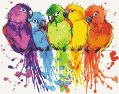 Купить Радужные попугаи Цифровая картина по номерам (без коробки)  в Украине