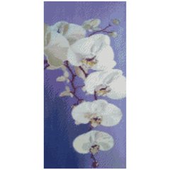 Купить Алмазная вышивка с круглыми камушками на подрамнике Цветение орхидеи  в Украине