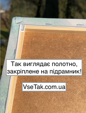 Купить Подсолнухи на голове Алмазная мозаика На подрамнике 30х40 см  в Украине