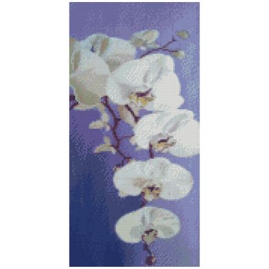 Купить Алмазная вышивка с круглыми камушками на подрамнике Цветение орхидеи  в Украине