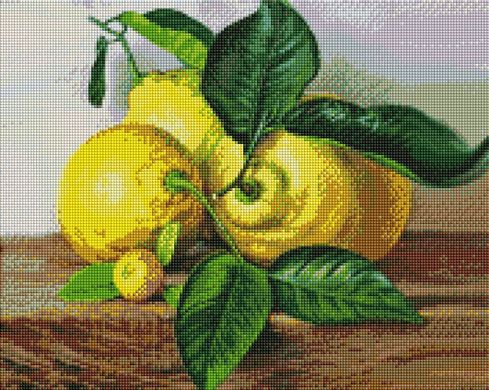 Купить Алмазная мозаика на подрамнике с круглыми камнями Лимоны  в Украине