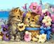 Кошенята в квітах Антистрес розфарбування по номерах 40 х 50 см, Подарункова коробка, 40 х 50 см