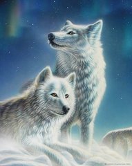 Купити Красива пара вовків. Набір для алмазної вишивки квадратними камінчиками  в Україні