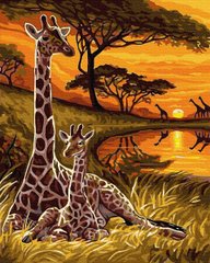 Купити Набір для розфарбовування картини по цифрам без коробки Маленький жираф  в Україні