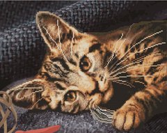 Купить Бенгальская кошка Картина по номерам с частичной алмазной мозаикой  в Украине
