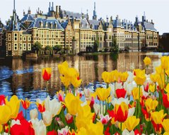 Купити Замок в тюльпанах Алмазна картина розфарбування 40 х 50 см  в Україні