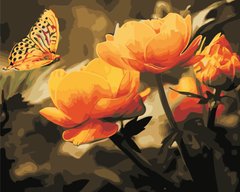 Купить Картина по номерам Желтые цветы и бабочка  в Украине
