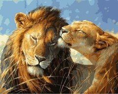 Купить Раскраски по номерам Влюбленные львы  в Украине