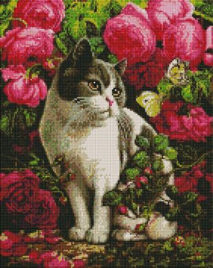 Купити Алмазна мозаїка на підрамнику з круглими камінчиками Кіт в квітах  в Україні