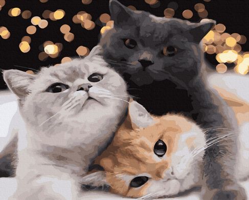 Купити Три кота Антистрес розфарбування по цифрам без коробки  в Україні