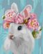 Малювання по номерам Білосніжний кролик ©Юлія Томеско