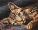 Бенгальская кошка Картина по номерам с частичной алмазной мозаикой, Без коробки, 40 х 50 см