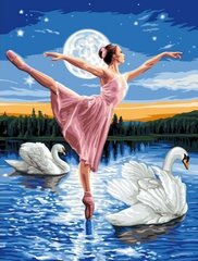 Купити Алмазна мозаїка на підрамнику маленька Балерина і лебеді  в Україні