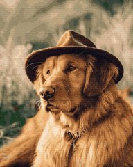 Купити Собака в капелюсі. Набір для розфарбовування по цифрам  в Україні