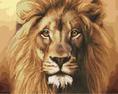Купити Могутній лев Картина за номерами з частковою алмазної мозаїкою  в Україні