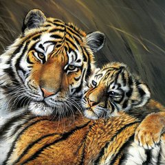 Купити Алмазна вишивка Ніжність тигриці  в Україні