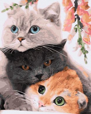 Купити Котяче тріо Картина антистрес за номерами на підрамнику  в Україні