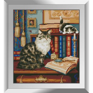 Купити Бібліотекарі (коти) Картина алмазами за номерами  в Україні