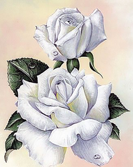 Купити Діамантова мозаїка без підрамника Біла троянда 40х50 см  в Україні