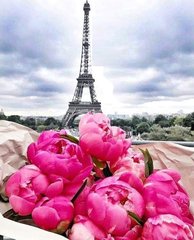 Купить Путешествие во Францию, Париж Алмазная мозаика На подрамнике 40 на 50 см  в Украине