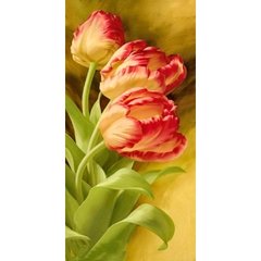Купить Набор алмазной мозаики Букет тюльпанов Панно 30x60 TS1302  в Украине