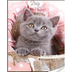 Купить Набор для алмазной мозаики с круглыми камушками На подрамнике Серый британский котенок  в Украине