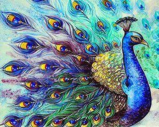 Купить Алмазная мозаика на подрамнике маленькая Прекрасный павлин  в Украине