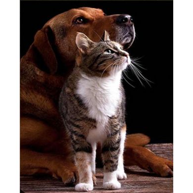 Купить Дружба кота и собаки Алмазная мозаика На подрамнике 30х40 см  в Украине