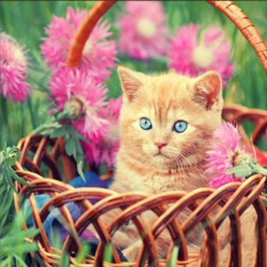 Купить Рыжий котенок в корзине Набор для алмазной мозаики 30х30см На подрамнике  в Украине