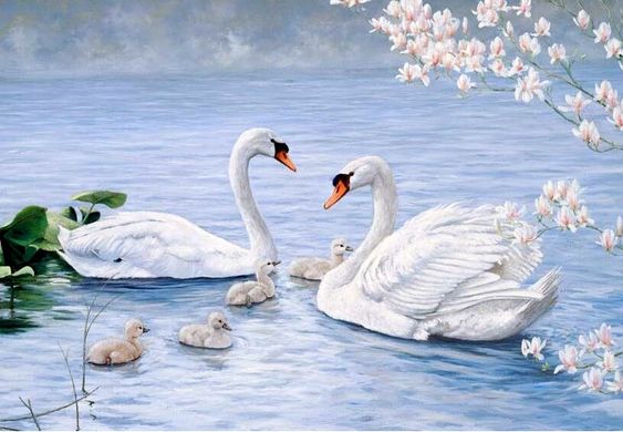 Купити Лебеді на ставку Алмазна мозаїка На підрамнику 40 на 50 см  в Україні
