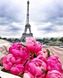 Подорож до Франції, Париж Алмазна мозаїка На підрамнику 40 на 50 см, Так