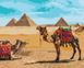 Египетский колорит Роспись картин по номерам (без коробки), Без коробки, 40 х 50 см