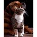 Дружба кішки з собакою Діамантова мозаїка На підрамнику 30х40 см, Так, 30 x 40 см