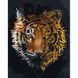Арт-тигр Рисование картин по номерам (без коробки) 40х50см с золотыми краскам, Без коробки, 40 х 50 см