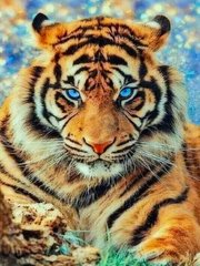 Купить Алмазна мозаика 30х40 Тигр ST476  в Украине