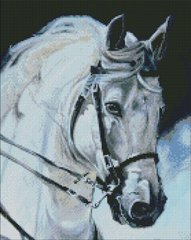 Купить Гордый конь Мозаичная картина по номерам 40х50 см  в Украине