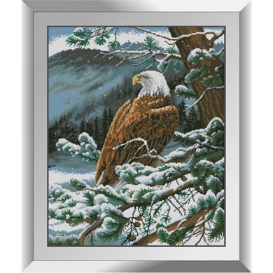 Купити Алмазна вишивка ТМ Dream Art Гірський орел  в Україні