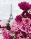 Цветы Парижа Картина антистресс по номерам без коробки, Без коробки, 40 х 50 см