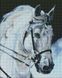 Алмазна мозаїка - Гордий кінь Идейка 40х50 см (AMO7394)