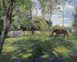 Рисование картины по номерам Пастбище лошадей, Без коробки, 40 х 50 см