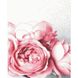 Набір для творчості алмазна картина Рожеві піони 40х50 см, Так, 40 x 50 см