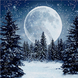 Зимовий місяць Алмазна мозаїка Квадратні стрази 40х40 см