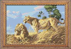 Купить 30052 Африканские львы Набор алмазной живописи  в Украине