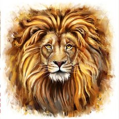 Купить Алмазная вышивка Взгляд льва  в Украине
