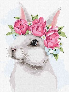 Купить Картины раскраски по номерам Белый кролик  в Украине