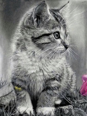 Купить Серый котенок монохром Набор для алмазной мозаики на подрамнике 30х40см  в Украине