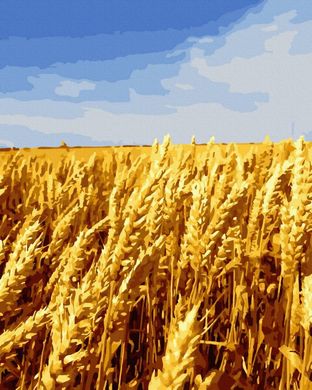 Купити Картина за номерами без коробки Запашна пшениця  в Україні