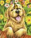 Радостный щенок Роспись картин по номерам (без коробки), Без коробки, 40 х 50 см