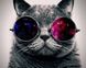 Кот в очках Алмазная мозаика На Подрамнике, квадратные камни