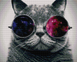 Кот в очках Алмазная мозаика На Подрамнике, квадратные камни